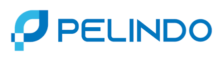 Pelindo Logo