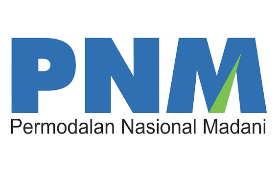 PNM Logo